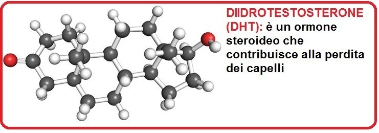 DHT responsabile della calvizie andorgenetica